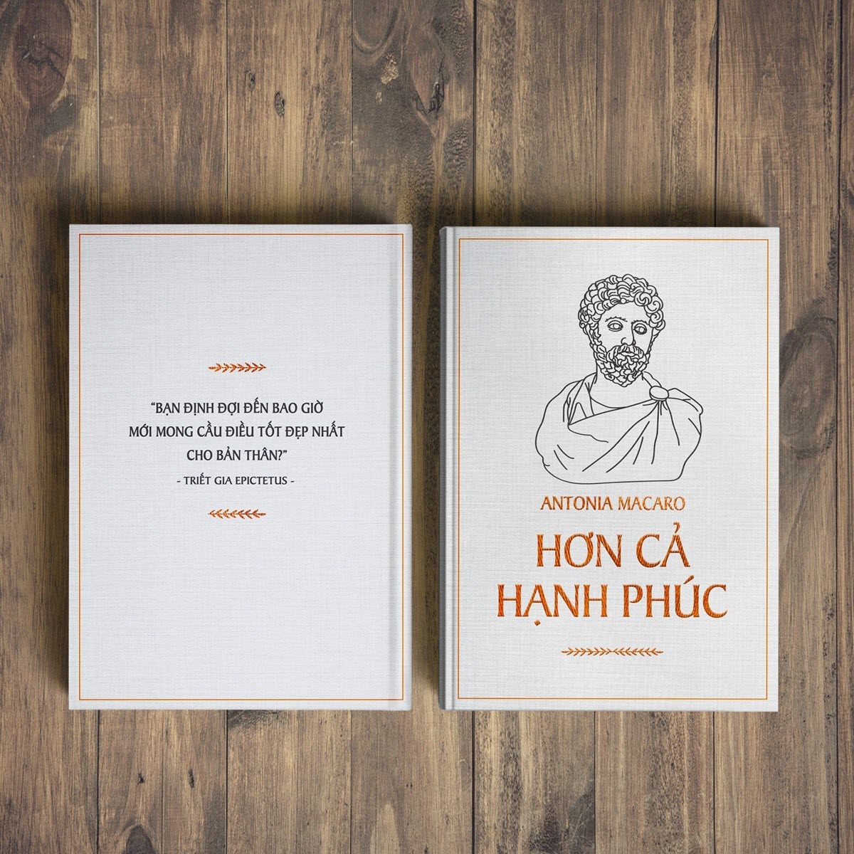 Sách Hơn Cả Hạnh Phúc – Tư Duy Triết Học Cho Cuộc Sống Hiện Đại - Ảnh 3
