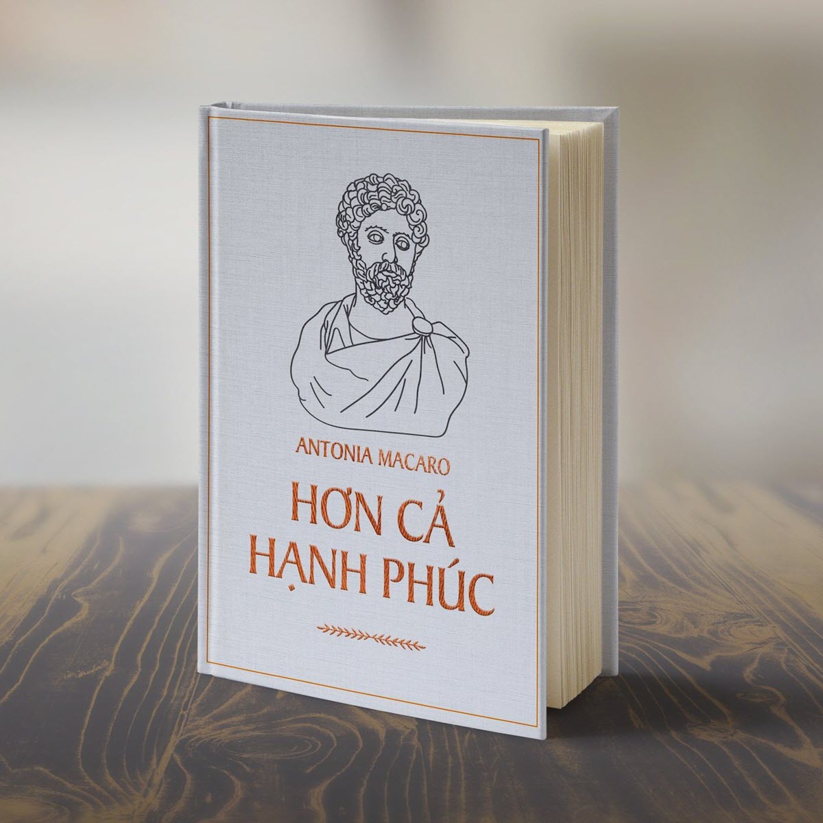 Sách Hơn Cả Hạnh Phúc – Tư Duy Triết Học Cho Cuộc Sống Hiện Đại - Ảnh 2