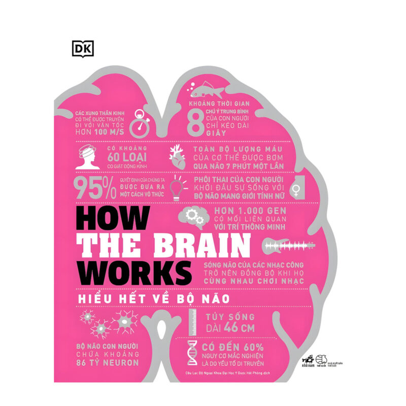 sách how the brain works