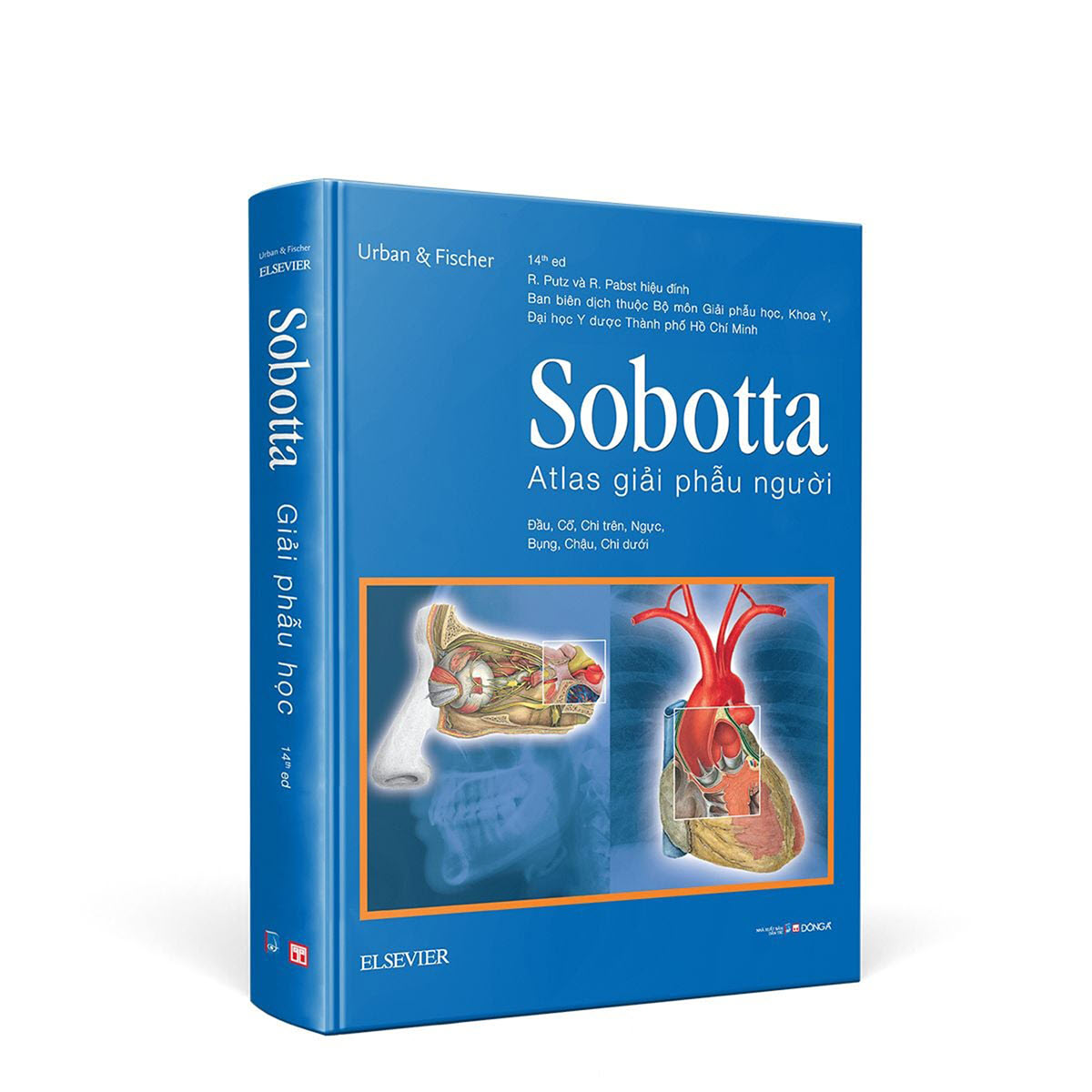 Sobotta Atlas giải phẫu người (gần 2000 hình ảnh in màu)