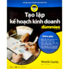 sách tạo lập kế hoạch kinh doanh for dummies