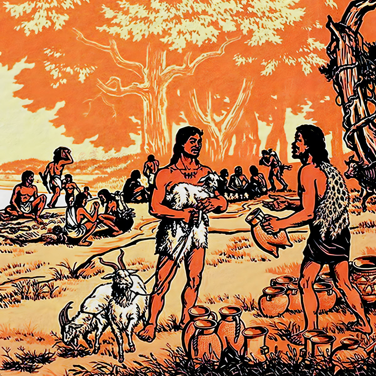 sách về xã hội nguyên thủy