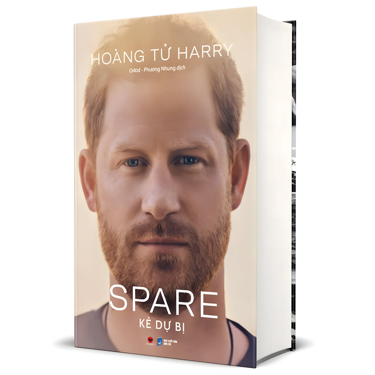 sách spare kẻ dự bị