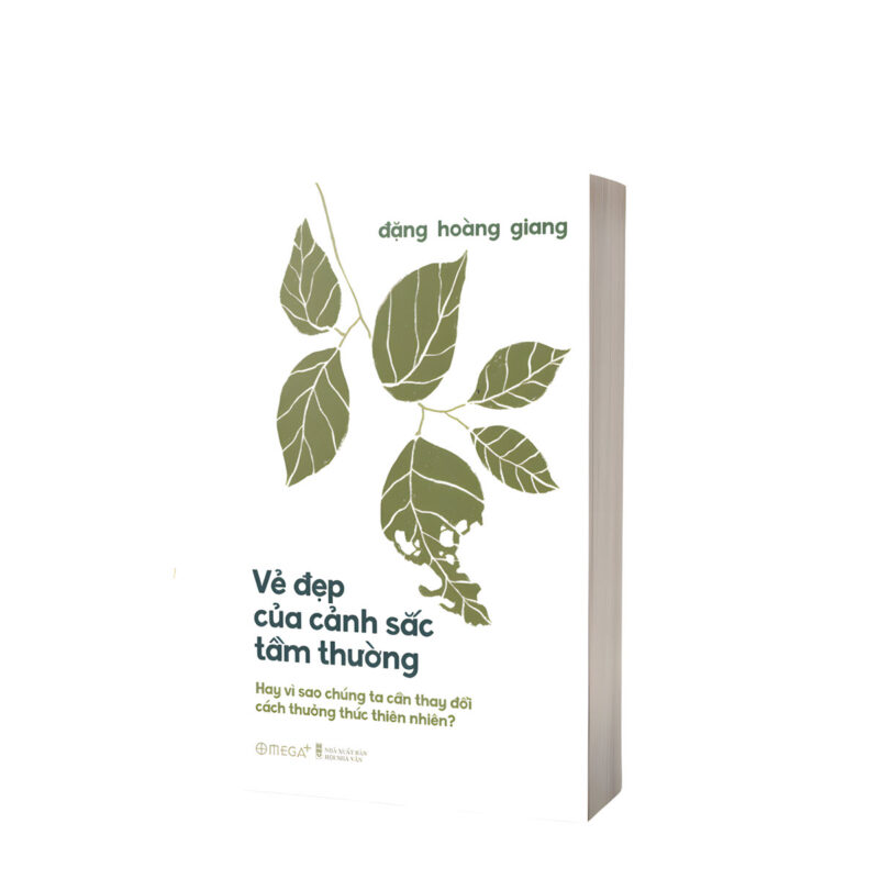 sách vẻ đẹp của cảnh sắc tầm thường